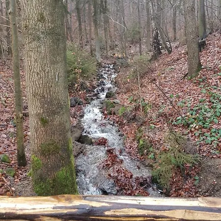 Bergbluete Apartment