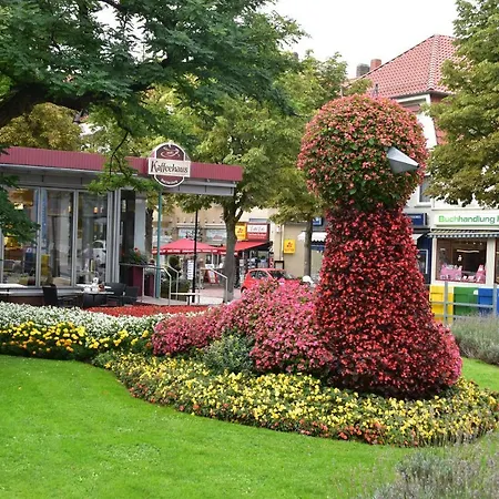 Bergbluete Bad Harzburg