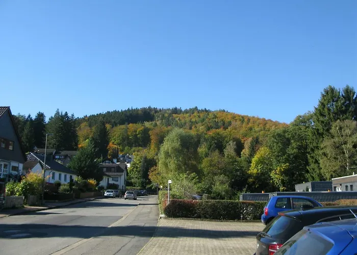 Апартаменты Bergbluete *