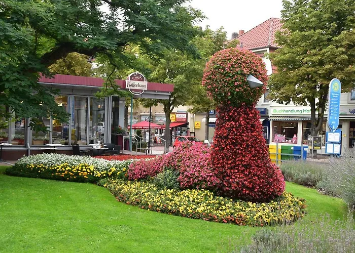 Bergblüte Bad Harzburg