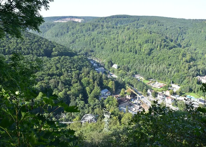 Bergblüte Bad Harzburg